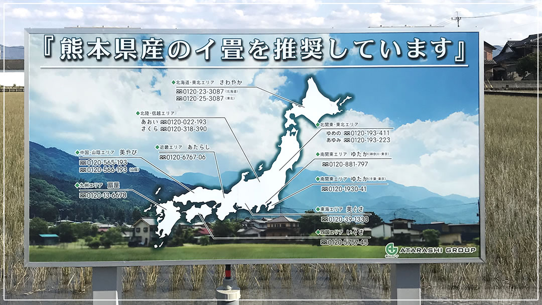 熊本県のイ畳を推奨しています
